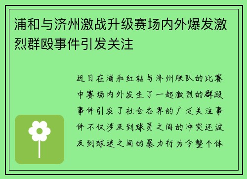 浦和与济州激战升级赛场内外爆发激烈群殴事件引发关注