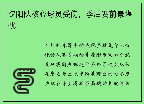 夕阳队核心球员受伤，季后赛前景堪忧