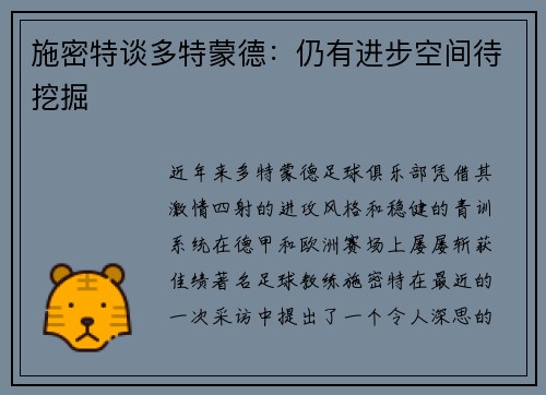 施密特谈多特蒙德：仍有进步空间待挖掘