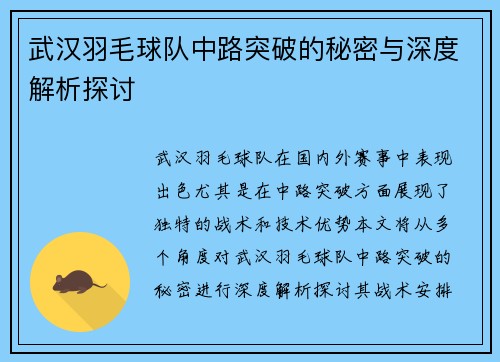 武汉羽毛球队中路突破的秘密与深度解析探讨