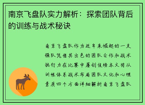 南京飞盘队实力解析：探索团队背后的训练与战术秘诀