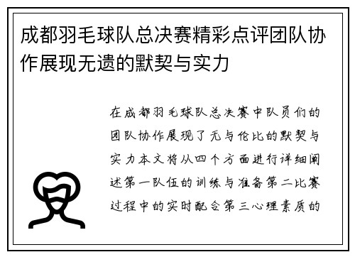 成都羽毛球队总决赛精彩点评团队协作展现无遗的默契与实力